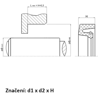 66032_Gufero-Sevanit-NBR-vykres_Gufero-sevanit-vykres.png