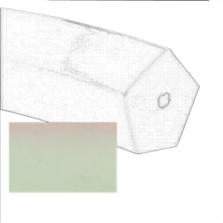 27058_PU-klinovy-vyztuzeny-remen-metraz-RIDGE-TOP-85A-Ivory_ilustr.png