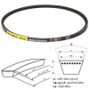 10084_Klinovy-remen-8X-PTS-Strongbelt_8X-560-cely.png