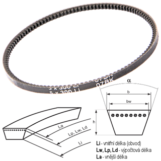 10046_Klinovy-remen-5X-PTS-Strongbelt_5X-300-cely.png