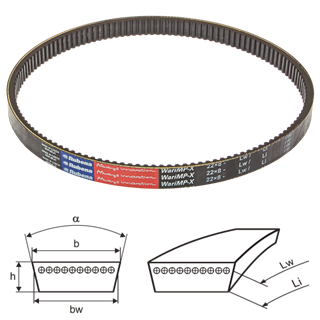 14012_Variatorovy-remen-22x8-Rubena_Vari-foto-RUB-22x8-cely.png