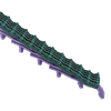 26014_Segmentovy-klinovy-remen-PowerTwist-supergrip_.png